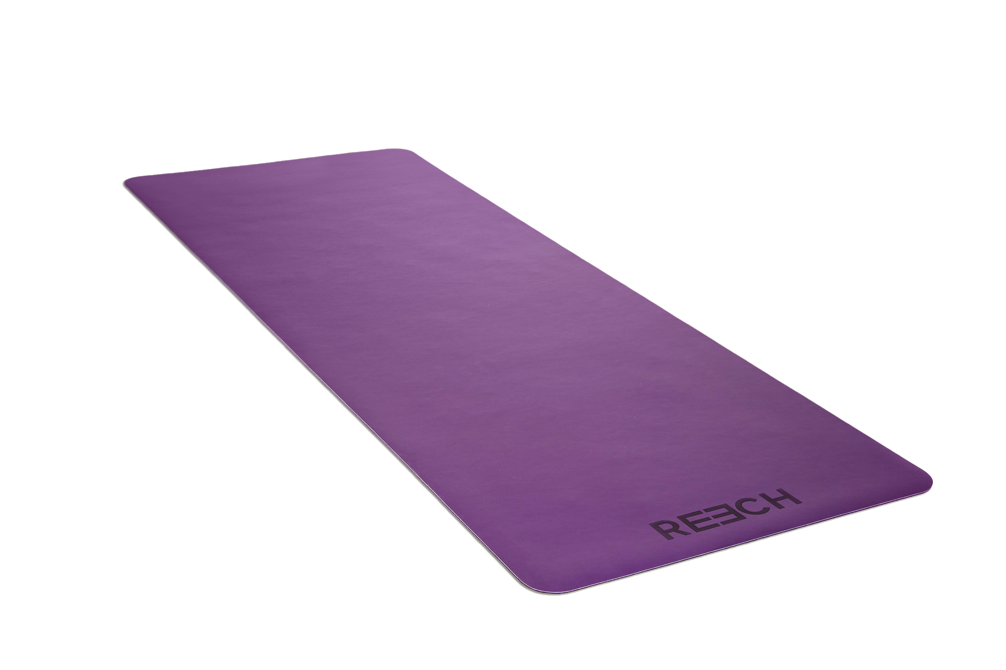namaSTAY PURPLE